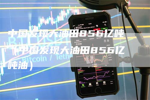 中国发现大油田856亿吨（中国发现大油田856亿吨油）-领航期货