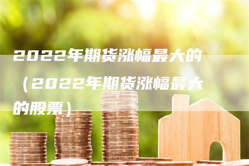 2022年期货涨幅最大的（2022年期货涨幅最大的股票）-领航期货