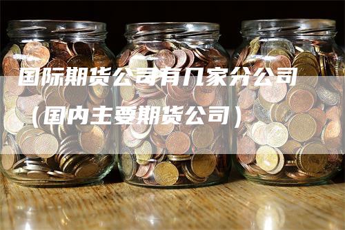 国际期货公司有几家分公司（国内主要期货公司）-领航期货