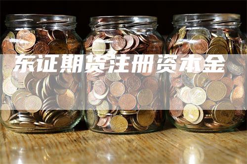 东证期货注册资本金-领航期货