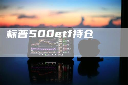 标普500etf持仓