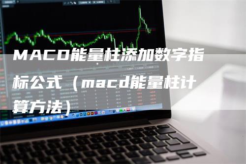 MACD能量柱添加数字指标公式（macd能量柱计算方法）-领航期货