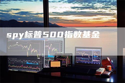 spy标普500指数基金-领航期货