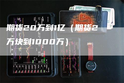 期货20万到1亿（期货2万块到1000万）-领航期货