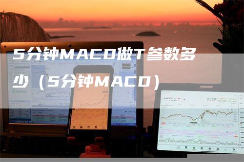 5分钟MACD做T参数多少（5分钟MACD）