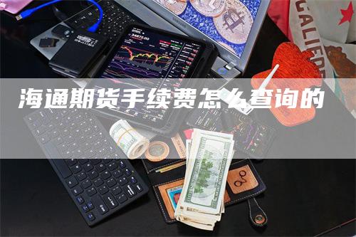 海通期货手续费怎么查询的-领航期货