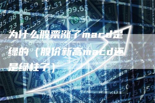 为什么股票涨了macd是绿的（股价新高macd还是绿柱子）-领航期货