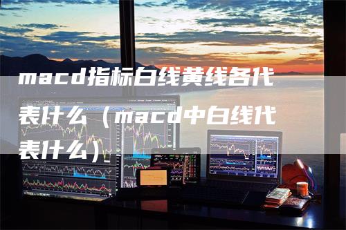 macd指标白线黄线各代表什么（macd中白线代表什么）-领航期货