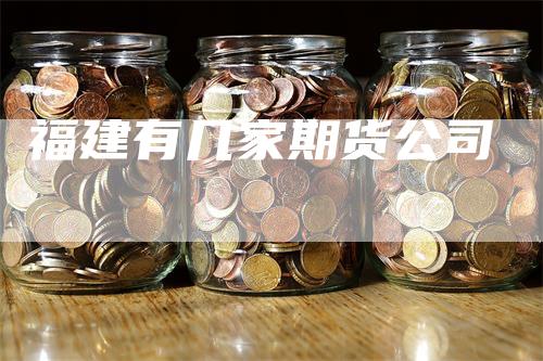 福建有几家期货公司-领航期货