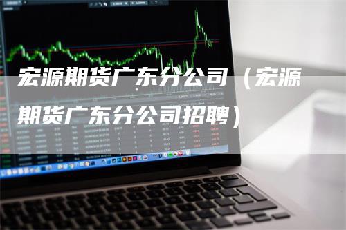 宏源期货广东分公司（宏源期货广东分公司招聘）-领航期货