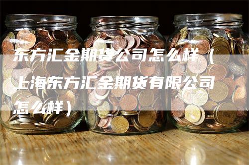 东方汇金期货公司怎么样（上海东方汇金期货有限公司怎么样）-领航期货