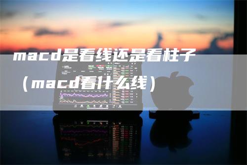 macd是看线还是看柱子（macd看什么线）-领航期货