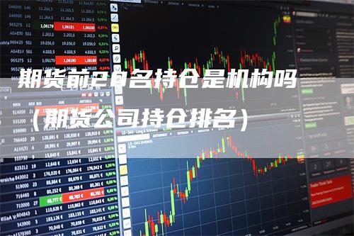 期货前20名持仓是机构吗（期货公司持仓排名）