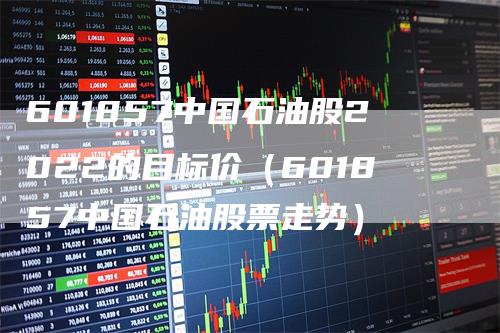 601857中国石油股2022的目标价（601857中国石油股票走势）-领航期货