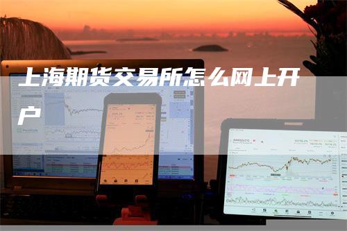 上海期货交易所怎么网上开户-领航期货