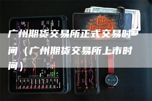 广州期货交易所正式交易时间（广州期货交易所上市时间）-领航期货