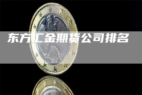 东方汇金期货公司排名-领航期货