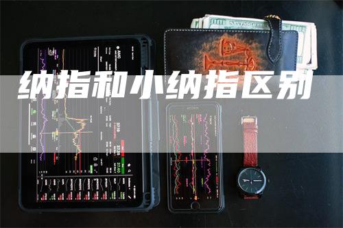 纳指和小纳指区别