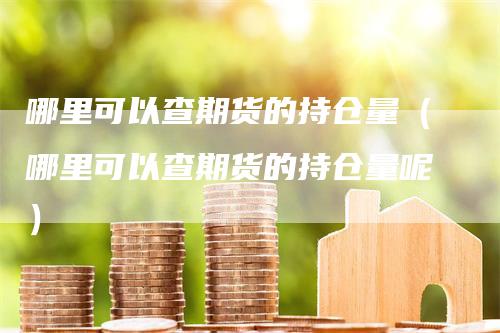 哪里可以查期货的持仓量（哪里可以查期货的持仓量呢）-领航期货