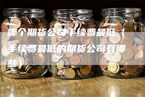 哪个期货公司手续费最低（手续费最低的期货公司有哪些）