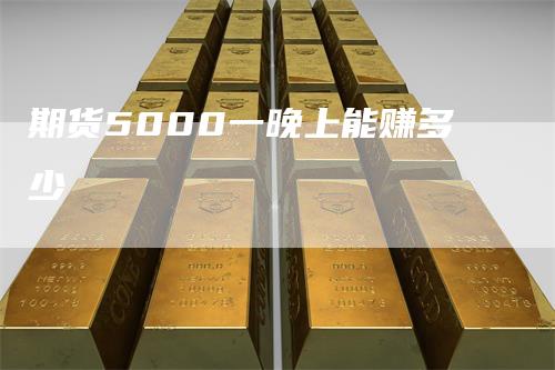 期货5000一晚上能赚多少