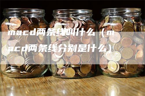 macd两条线叫什么（macd两条线分别是什么）