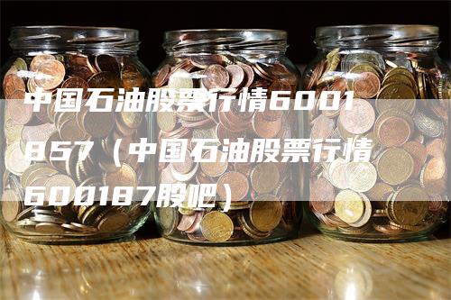 中国石油股票行情6001857（中国石油股票行情600187股吧）-领航期货