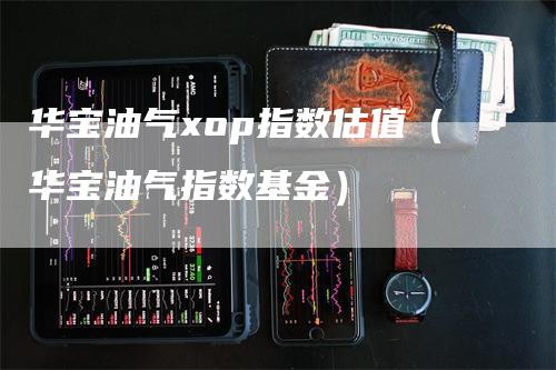 华宝油气xop指数估值（华宝油气指数基金）-领航期货