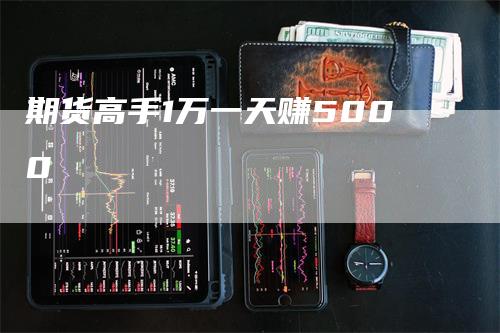 期货高手1万一天赚5000