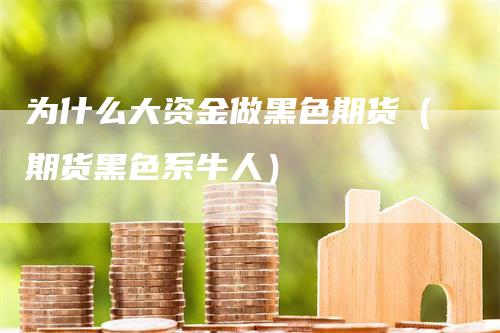 为什么大资金做黑色期货（期货黑色系牛人）-领航期货