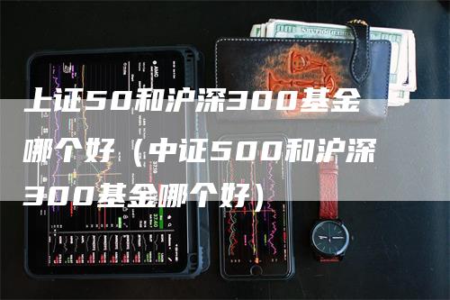 上证50和沪深300基金哪个好（中证500和沪深300基金哪个好）