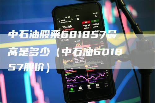 中石油股票601857最高是多少（中石油601857股价）-领航期货