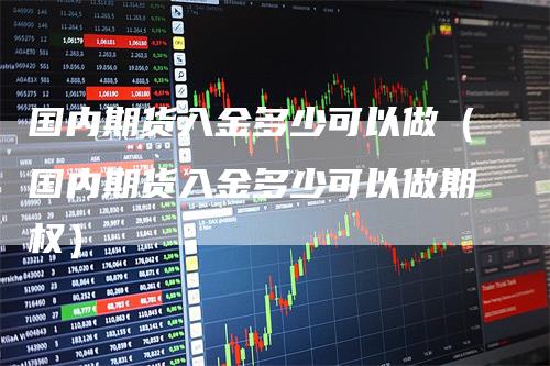 国内期货入金多少可以做（国内期货入金多少可以做期权）-领航期货