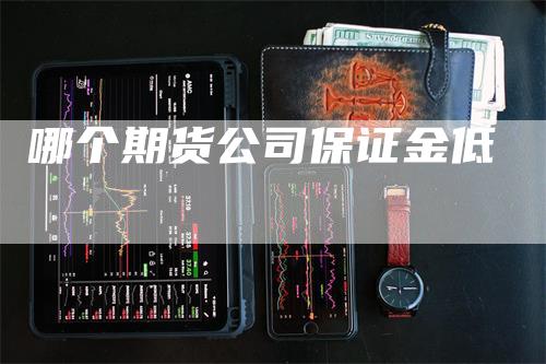 哪个期货公司保证金低