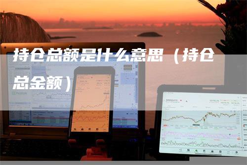 持仓总额是什么意思（持仓总金额）