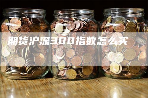 期货沪深300指数怎么买-领航期货