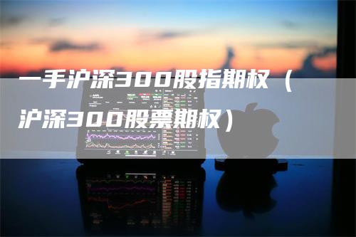 一手沪深300股指期权（沪深300股票期权）