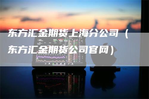 东方汇金期货上海分公司（东方汇金期货公司官网）-领航期货