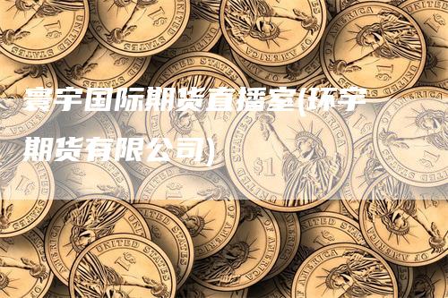 寰宇国际期货直播室(环宇期货有限公司)-领航期货