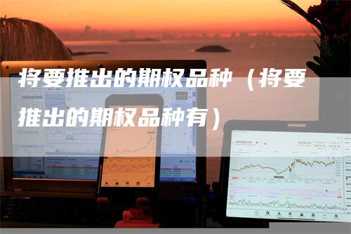 将要推出的期权品种（将要推出的期权品种有）